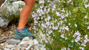 Partiamo con il piede… nella scarpa giusta!