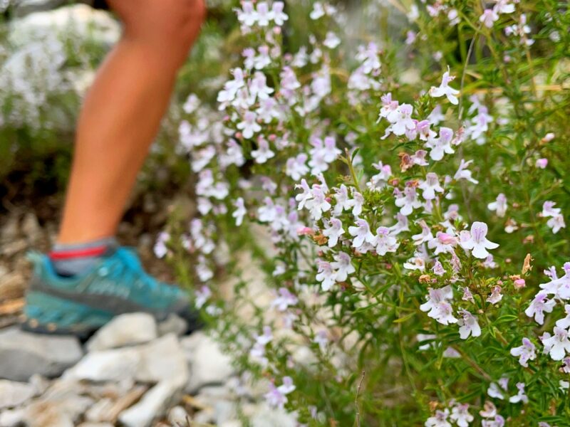 Partiamo con il piede… nella scarpa giusta!